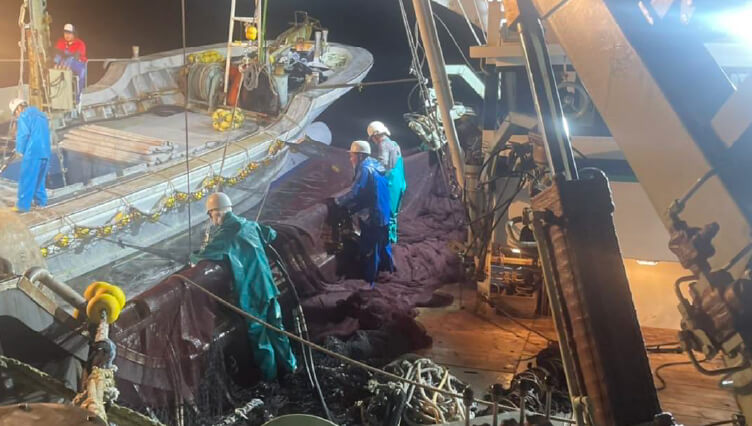 写真:漁の作業風景